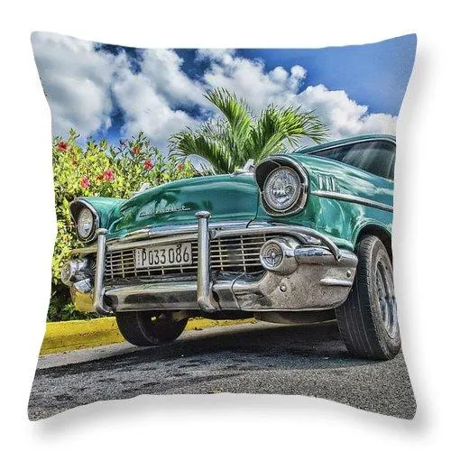 57 - Throw Pillow