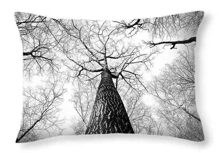 Bark - Throw Pillow