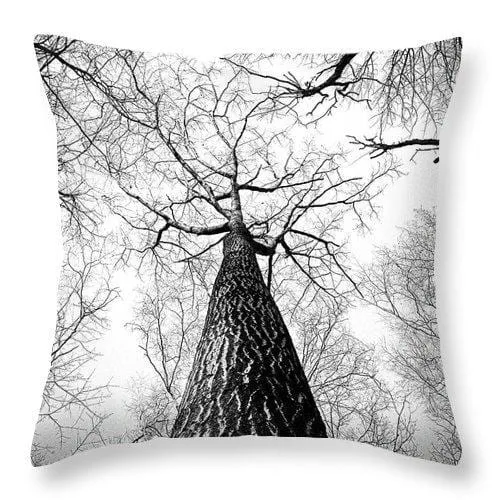 Bark - Throw Pillow