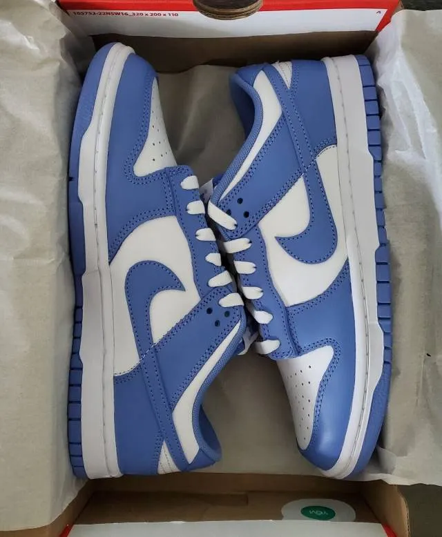 Nike Dunk Low Polar Blue